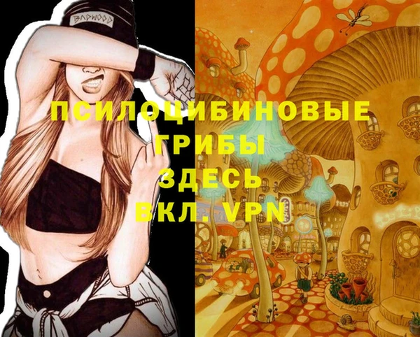 мет Верхний Тагил