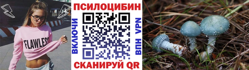 Галлюциногенные грибы GOLDEN TEACHER  магазин продажи   Нижний Новгород 